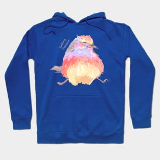 Colourful Bird Hoodie